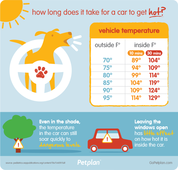 Temperature Inside Car Chart